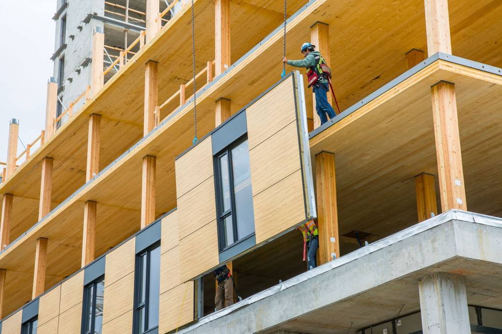 Resgate da madeira como matéria-prima nas edificações: material substitui o uso de concreto e do aço (-/Divulgação)