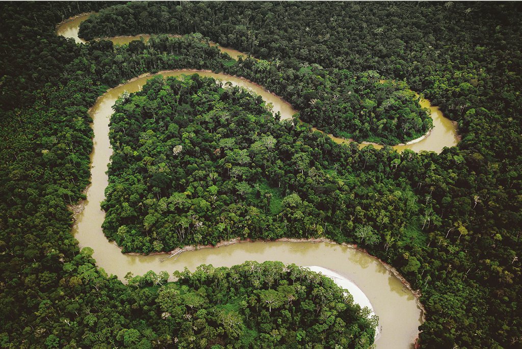 Acabar com a grilagem é o melhor jeito de salvar a pecuária e a Amazônia