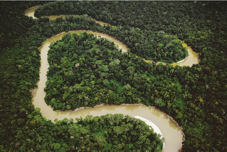Amazônia: até 2020, poucos projetos de carbono no Brasil possuíam certificação adicional que verificasse melhorias da sociobiodiversidade nas áreas de influência dos projetos (JarnoVerdonk/Mark Fox/Getty Images)