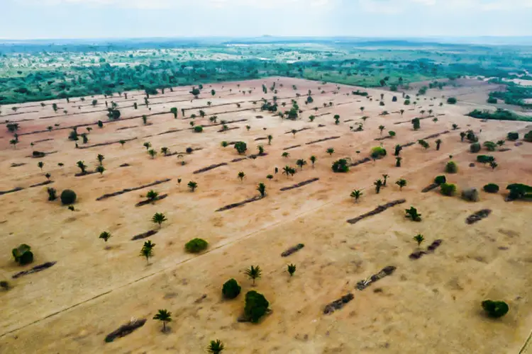 Amazônia é bioma brasileiro com maior área desmatada (Jonne Roriz/Bloomberg/Getty Images)