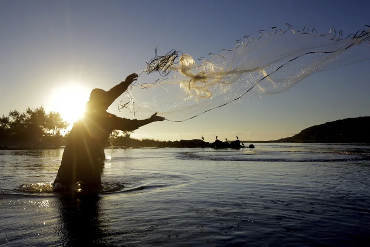 O manejo sustentável do pirarucu é uma iniciativa de comunidades extrativistas ribeirinhas e indígenas da Amazônia (Agência/Getty Images)