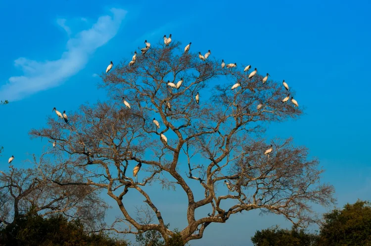 Bonito, Mato Grosso do Sul: cidade mais acolhedora do Centro-Oeste. (Lucas Ninno/Getty Images)