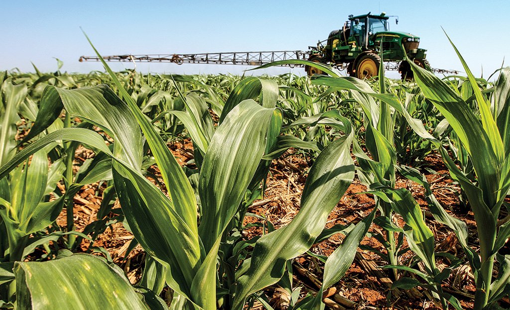 PIB do agro cai no 2º trimestre e pode ter menor participação na economia, aponta Cepea/CNA