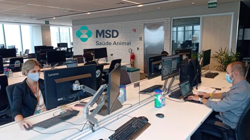 MSD Saúde Animal oferece curso remunerado e quer contratar recém-formados