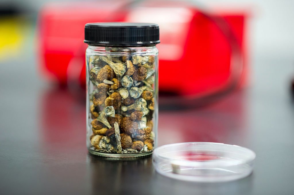 Cogumelos alucinógenos: compostos com potencial médicos, mas pouco estudados por conta de proibições (Getty Images/James MacDonald)