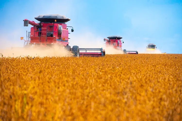 Mato Grosso: quase 10 milhões de hectares serão incorporados à área plantada para a produção de grãos (Lucas Ninno/Getty Images)