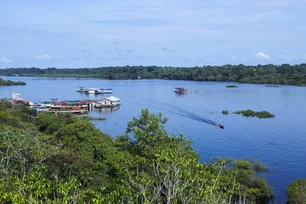 Imagem referente à matéria: Bioeconomia cresce no Amapá e atrai investimentos para novas startups fora do eixo Belém-Manaus