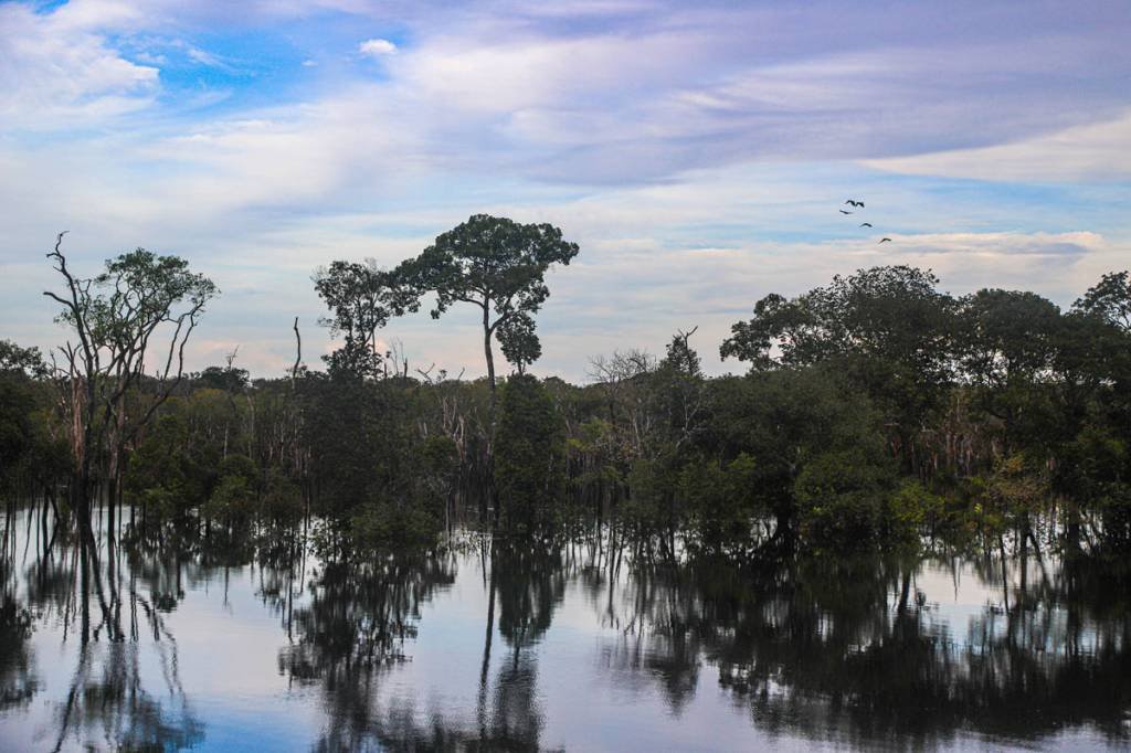 Cientistas alertam para efeito cascata da redução de umidade na Amazônia
