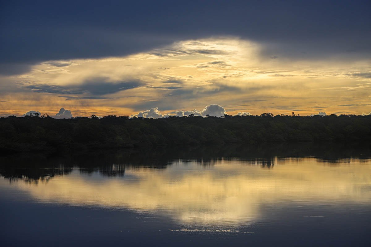 COP27: as políticas climáticas necessárias para o Brasil chegar ao net zero, segundo a FGVces