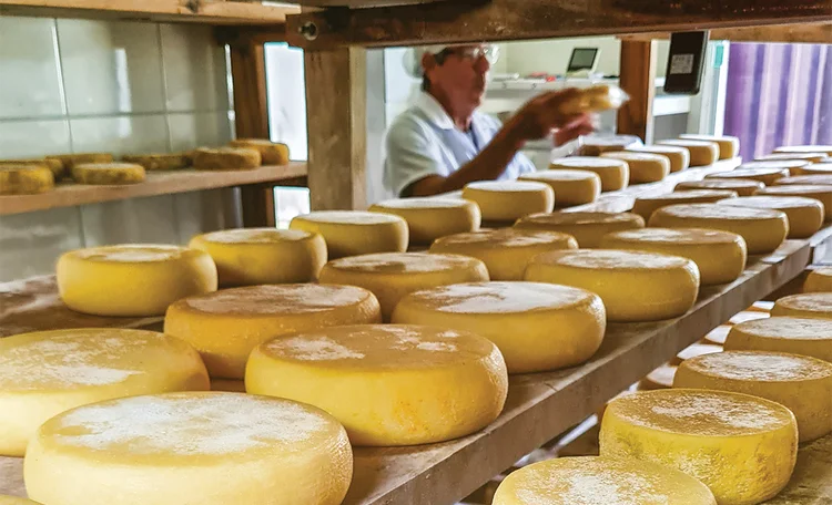 Queijo minas artesanal: mais de 30.000 produtores em Minas Gerais (Eduardo Girão/Divulgação)