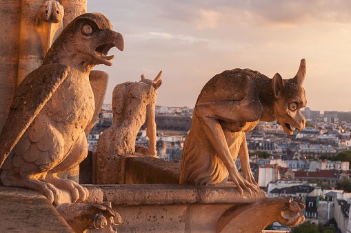 Padre centenário é encontrado em escavações da catedral Notre Dame