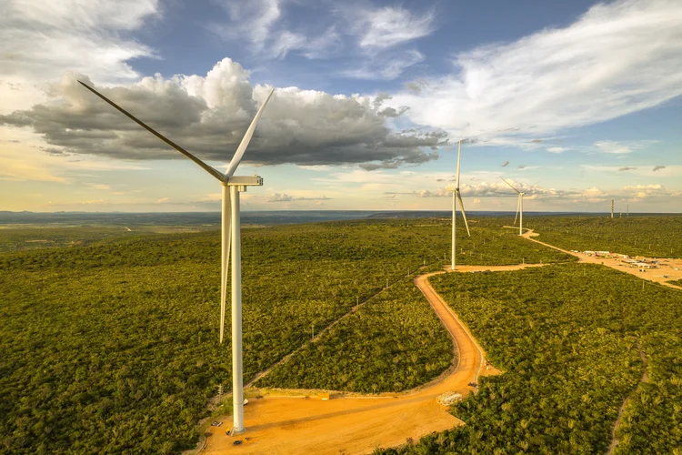 Campo Eólico de Tucano, na Bahia: realizado em parceria com a AES Brasil, parque deve entrar em operação no segundo semestre desse ano. (Emerson Leite/Divulgação)