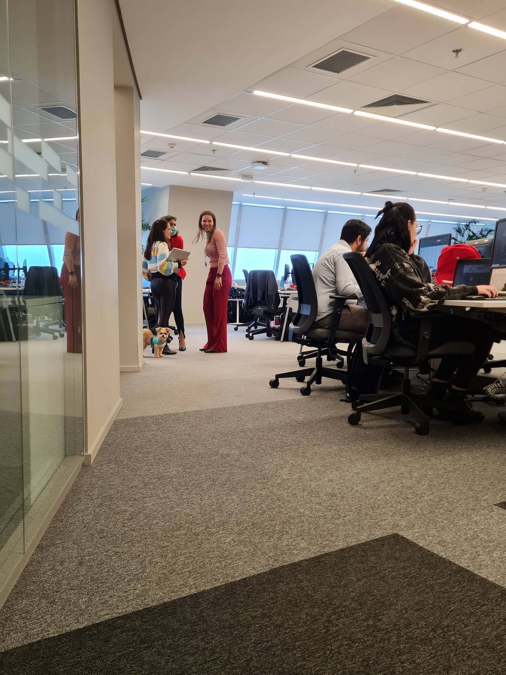 Funcionários (e um pet) no escritório da Nestlé em São Paulo Funcionários (e um pet) no escritório da Nestlé em São Paulo