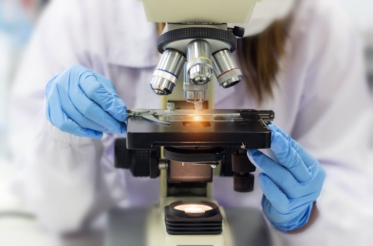 Cientista analisa substância em microscópio: operação da Hurst envolve financiamento de tecnologia para produção de Coenzima Q10 (Anchalee Phanmaha/Getty Images)