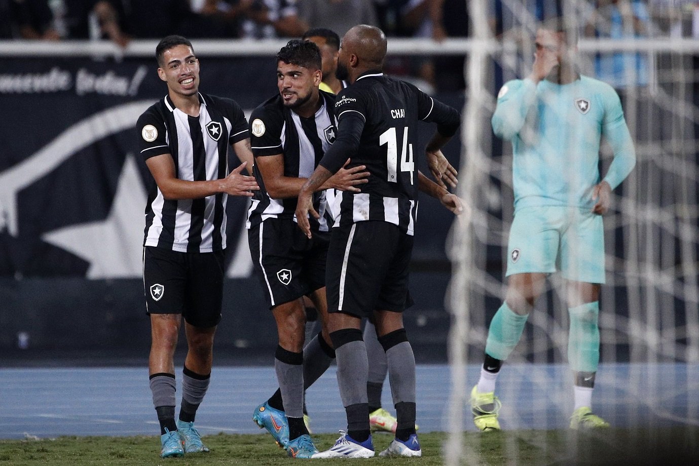 Botafogo x Red Bull Bragantino: onde assistir ao vivo o jogo do Brasileirão