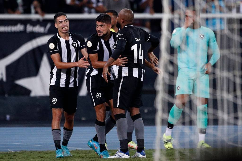 Dono do Botafogo compra clube francês Lyon