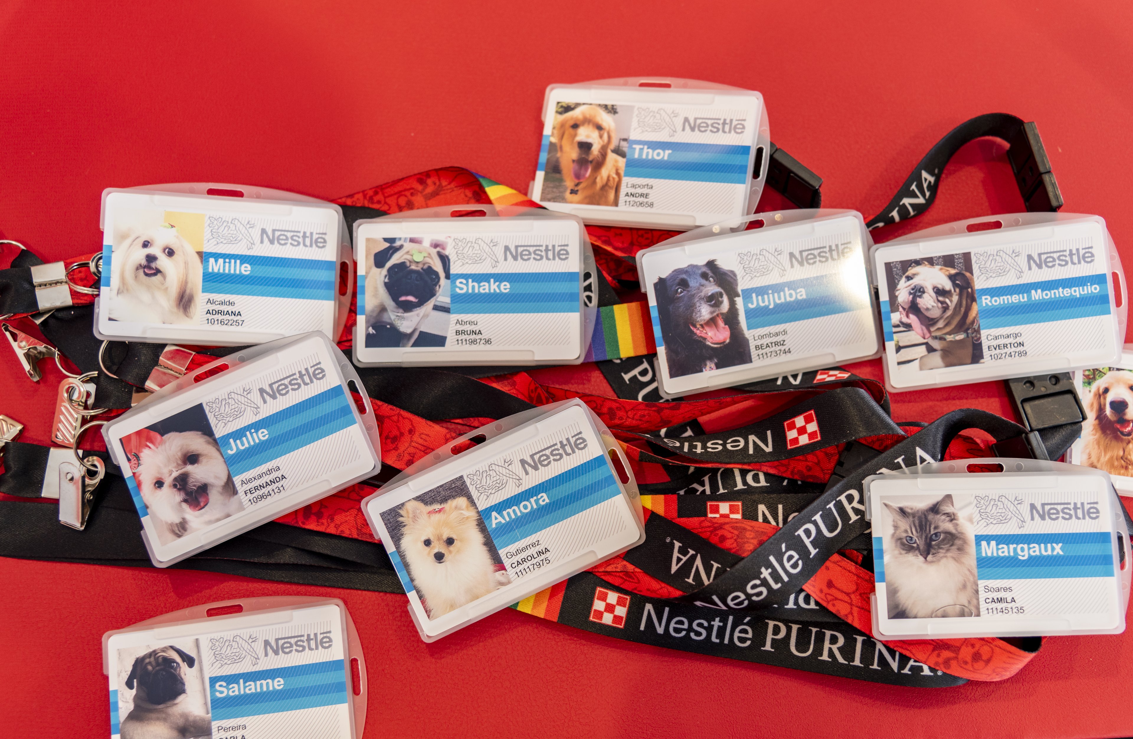 Crachás no Pet at Work da Nestlé Purina Crachás no Pet at Work da Nestlé Purina