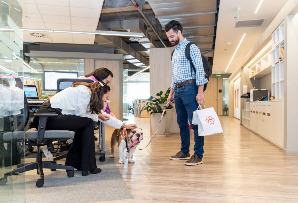 Pets at Work: depois de trabalhar todo dia com os pets no home office, os funcionários agora podem trazê-los para o escritório (Divulgação/Carol Sperandio/Nestlé)