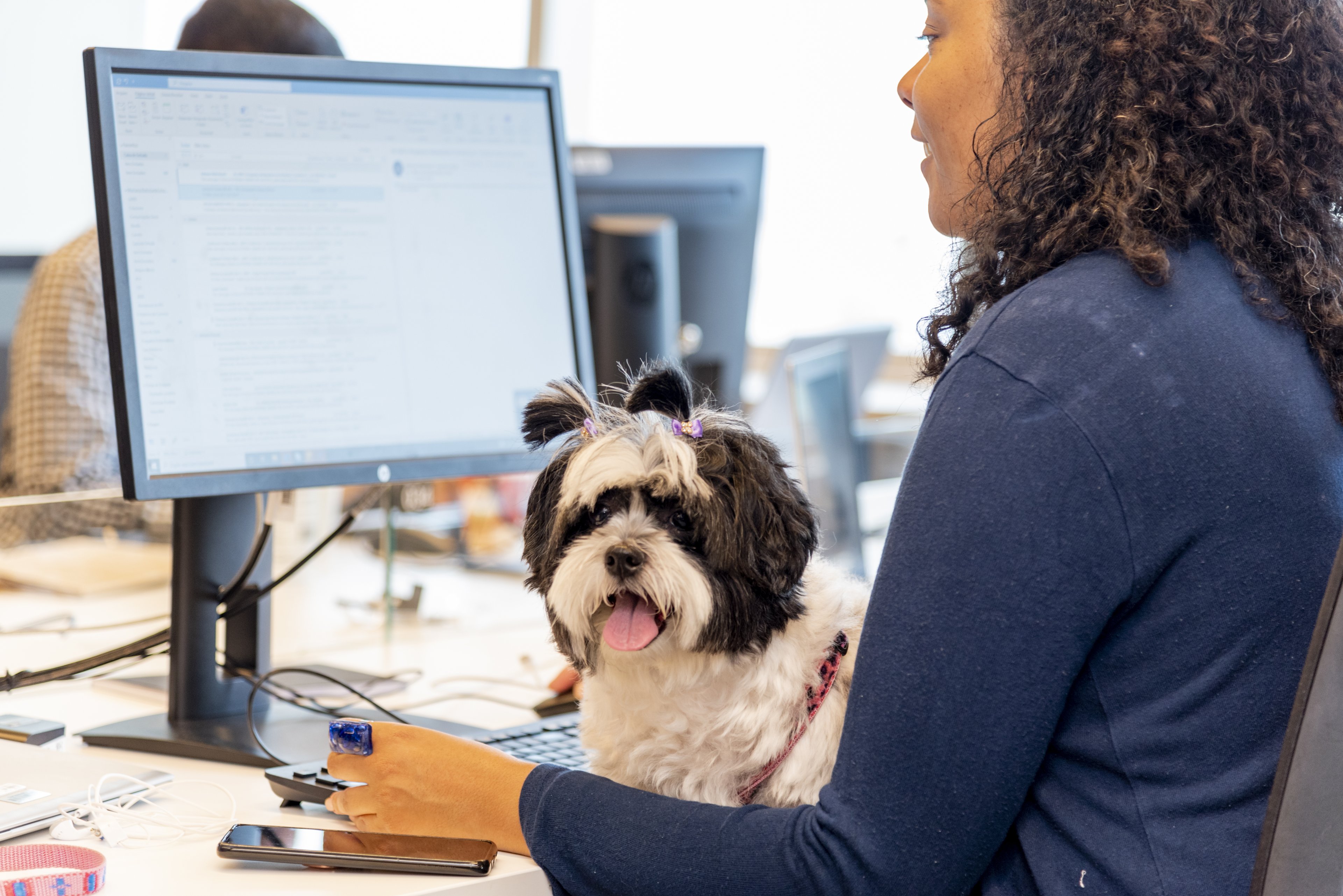 Purina - Pet At Work - Carol Sperandio Fotografia-6087