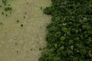 Queda no desmatamento da Amazônia leva Brasil a menor emissão em 15 anos