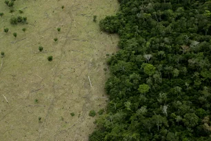 Imagem referente à matéria: Queda no desmatamento da Amazônia leva Brasil a menor emissão em 15 anos