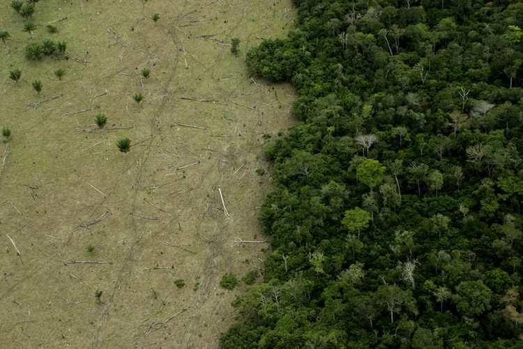 O Plano de Ação para Prevenção e Controle do Desmatamento na Amazônia Legal foi responsável pela redução de 24%  nas emissões nacionais, mas outros biomas registraram aumento (LeoFFreitas/Getty Images)