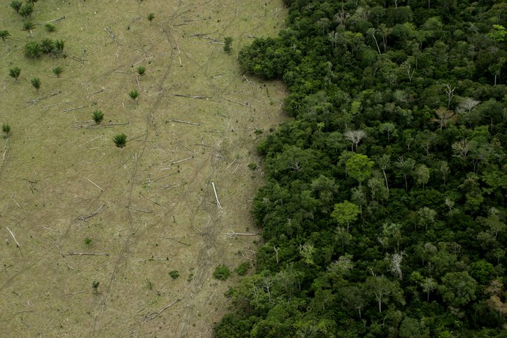 Desmatamento Amazonia Abril