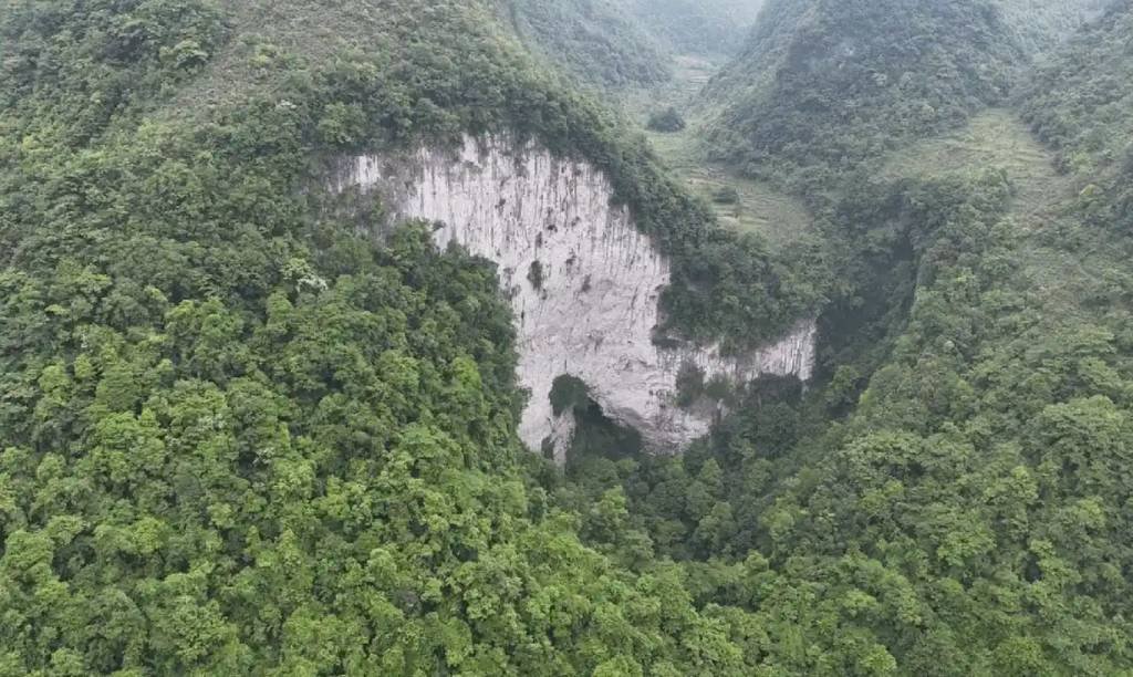 Floresta antiga com árvores de 40 metros é encontrada em "buraco" na China
