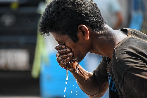 Calor de 50ºC na Índia mata pássaros no ar e afeta cultivo de trigo