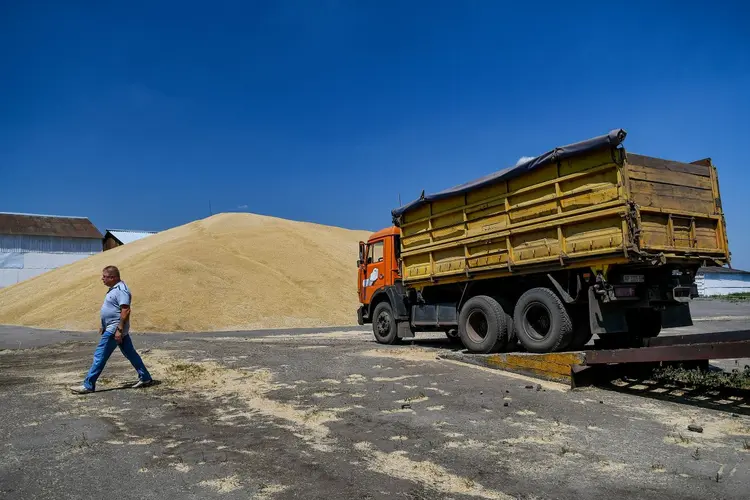 Produção de trigo em Zaporizhzhia, sudeste da Ucrânia, antes da guerra: por causa do conflito, 20 milhões de toneladas de grãos precisam deixar a Ucrânia em menos de três meses usando a infraestrutura da União Europeia (Dmytro Smolienko/ Ukrinform/Future Publishing/Getty Images)