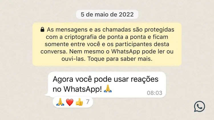 WhatsApp: exemplo de como são as reações com emojis (WhatsApp/Divulgação)