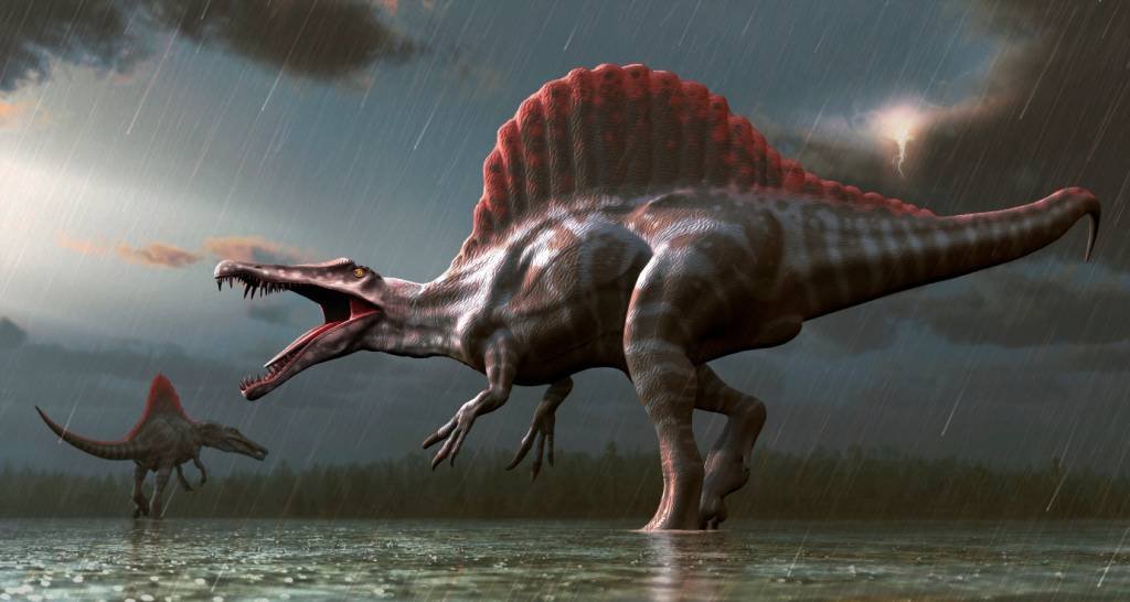 Espinossauro: "O tamanho do espécime é impressionante. É um dos maiores - e, possivelmente, o maior - predador conhecido a caçar na Europa”, disse o paleontólog que descobriu os fósseis (Divulgação/Getty Images)