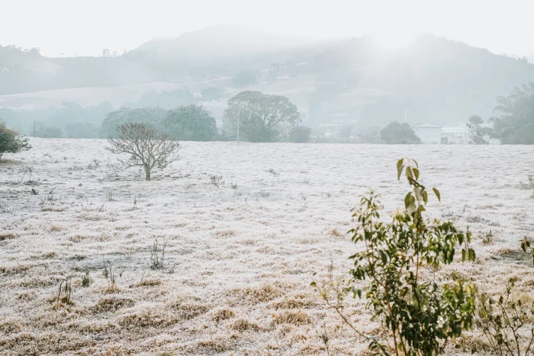 Geada em Monte Alegre do Sul: frio vai atingir áreas mais altas do estado de São Paulo (Ana Francisconi/EyeEm/Getty Images)