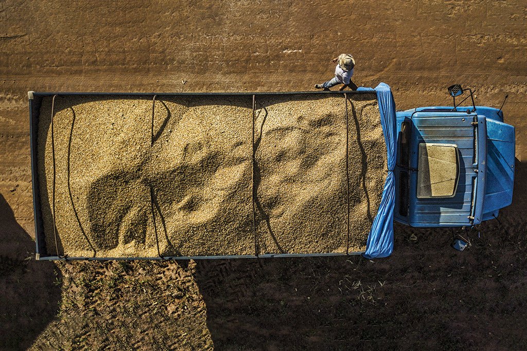 Soja, milho e carnes: 2023 será o ano dos recordes da exportação do agro