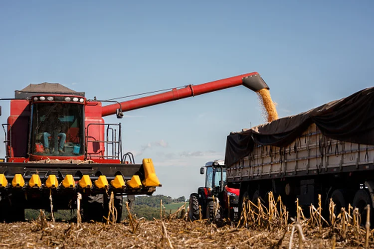 industry harvesting corn (getty images/Getty Images)