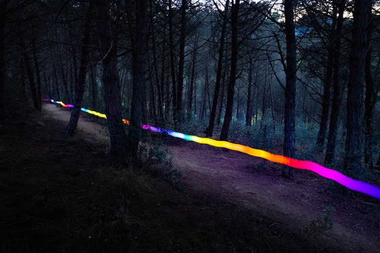 Light painting performance at night in the forest. (Artur Debat/Getty Images)