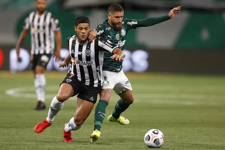 Palmeiras v Atletico Mineiro  (Fernando Bizerra - Pool/Getty Images)