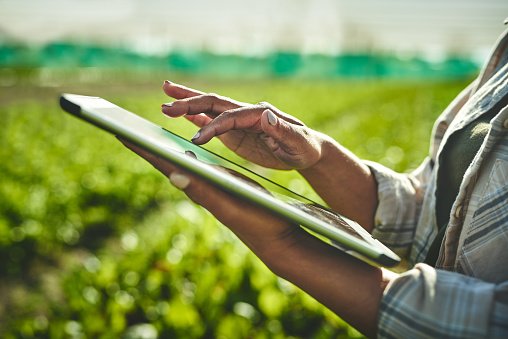 Startup americana de softwares de agro anuncia chegada ao Brasil