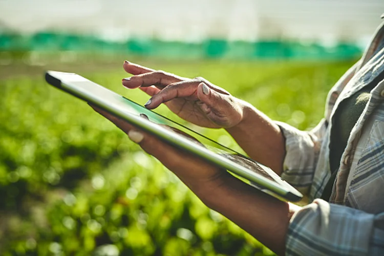 Softwares de gestão e finanças do campo: americana GrainChain chega ao Brasil (Getty Images/Getty Images)