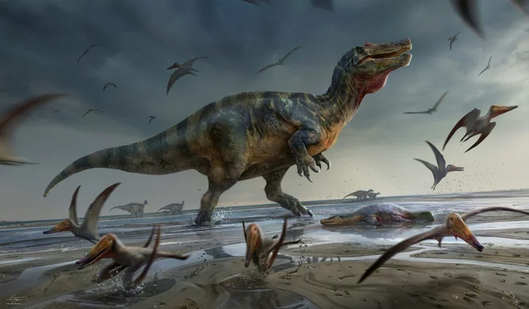 Dinossauro: arte do espinossauro gigante encontrado na ilha de Wight, em imagem fornecida pela Universidade de Southampton (AFP/AFP Photo)