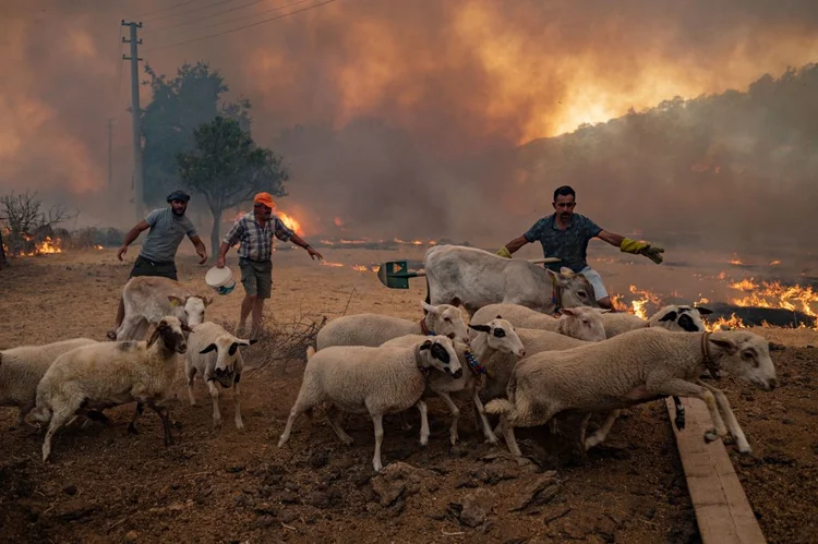 Queimada na Turquia, em agosto de 2021 (YASIN AKGUL / Colaborador/Getty Images)