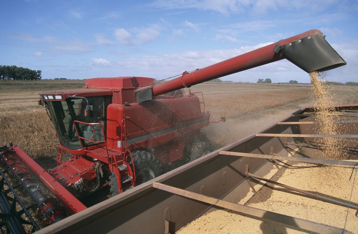 Plantação de soja: os preços ao consumidor subiram 64% (JMichl/Getty Images)