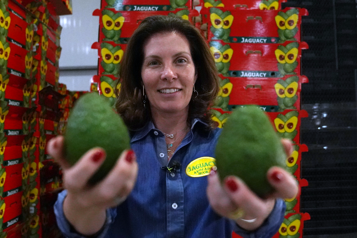 Ligia Carvalho, da fazenda Jaguacy: produção de 5 mil avocados por ano (Marcio Komesu/Exame)