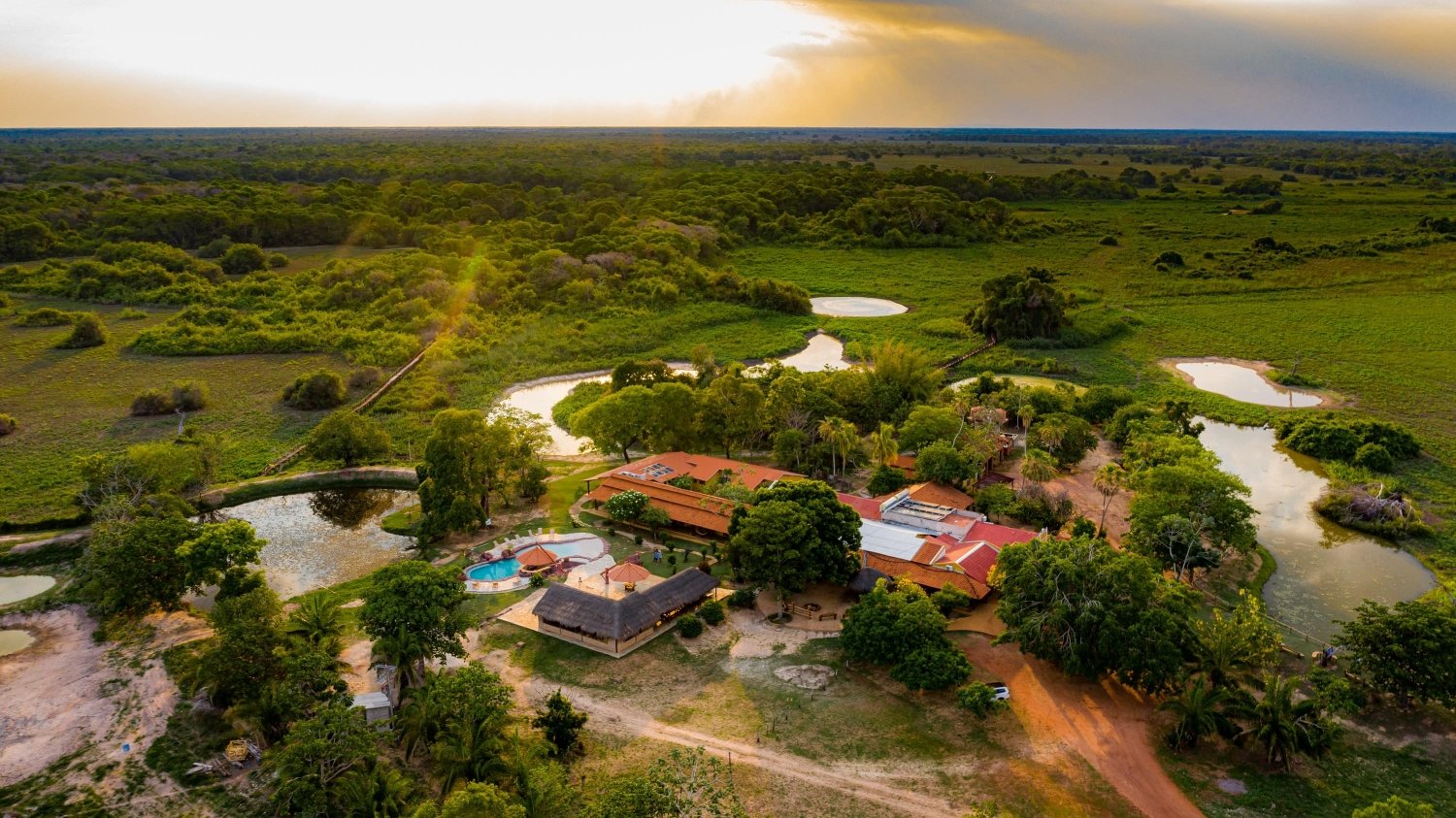 Inspirado pela novela? Saiba como viajar ao Pantanal do Brasil