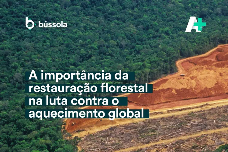 Em uma hora de live no YouTube da Exame, foram debatidos metas e desafios para preservar e recuperar as florestas brasileiras, contribuindo para a conservação da biodiversidade e o combate às mudanças climáticas (Bússola/Divulgação)