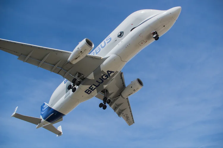 Airbus Beluga tem desenho inspirado nas baleias brancas do Ártico (Julian_Mg/Getty Images)