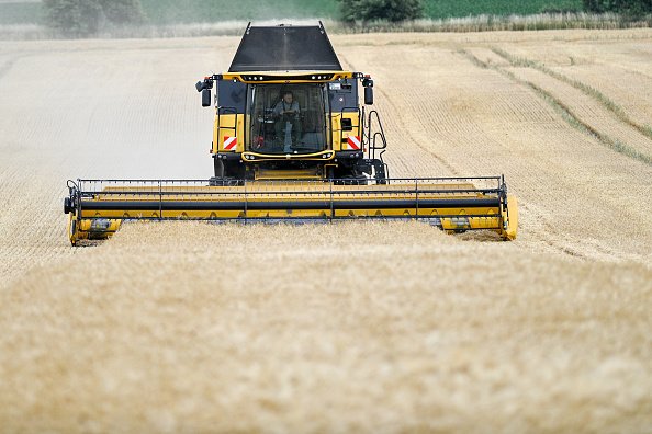 Colheita de milho na Alemanha: preço sobe com seca (Klaus-Dietmar Gabbert/picture alliance via Getty Images/Getty Images)