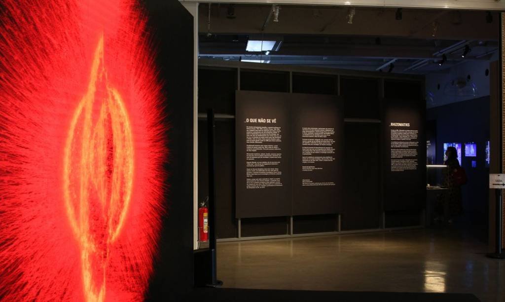 Mundo real e virtual se fundem em nova exposição na Japan House