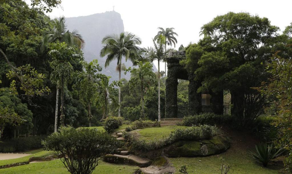 Acervo fotográfico do Jardim Botânico do Rio será revitalizado