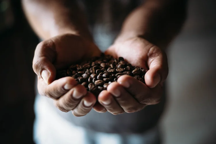 Produção da Nescafé na Chapada Diamantina (Nani Rodrigues/ Nescafé/Reprodução)